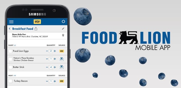 Food lion coupon code